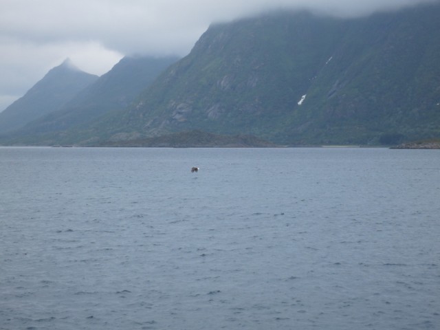 Hurtigruten_2015-06-25_17-55